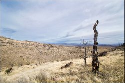 _MG_8036.jpg _MG_8036.jpg