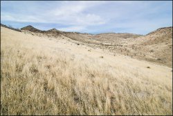 _MG_8041.jpg _MG_8041.jpg