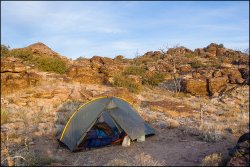 _MG_8091.jpg _MG_8091.jpg