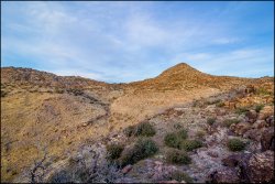 _MG_8093.jpg _MG_8093.jpg