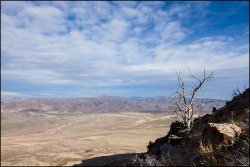 _MG_8095.jpg _MG_8095.jpg