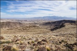 _MG_8104.jpg _MG_8104.jpg