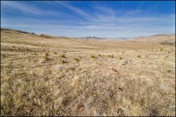 _MG_8108.jpg _MG_8108.jpg