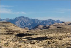 _MG_8118.jpg _MG_8118.jpg