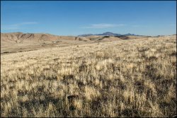 _MG_8119.jpg _MG_8119.jpg