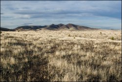 _MG_8121.jpg _MG_8121.jpg