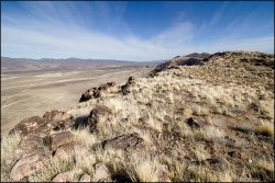 _MG_8014.jpg _MG_8014.jpg