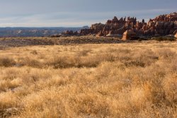 Chesler Park 1-20200363.jpg