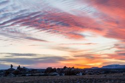 Chesler Park 1-20200420.jpg