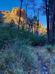 IMG_6109.jpeg IMG_6109.jpeg