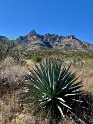 IMG_6067.jpeg IMG_6067.jpeg