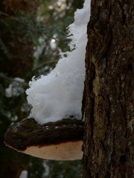 E77DA590-BFEE-49EC-AE30-6DD3377A246D.jpeg E77DA590-BFEE-49EC-AE30-6DD3377A246D.jpeg