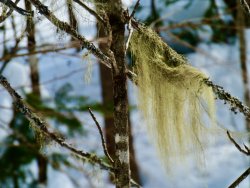 156829D1-0E52-45FE-9762-0519B2CF5BF2_1_201_a.jpeg 156829D1-0E52-45FE-9762-0519B2CF5BF2_1_201_a.jpeg