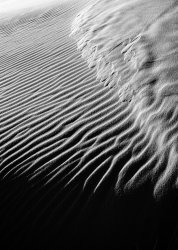 DSC04850-2.jpg DSC04850-2.jpg