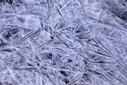 5J5A3370A.JPG 5J5A3370A.JPG