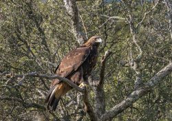 _73A8589.jpg _73A8589.jpg