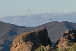 _73A8736.jpg _73A8736.jpg