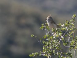 _73A9072.jpg _73A9072.jpg