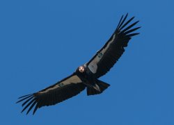 _73A9187.jpg _73A9187.jpg