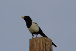 IMG_0604.jpg IMG_0604.jpg