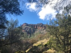 IMG_4436.jpg IMG_4436.jpg