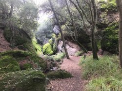 IMG_4438.jpg IMG_4438.jpg