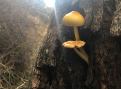 IMG_4452.jpg IMG_4452.jpg