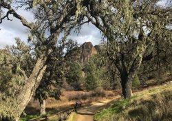 IMG_4454.jpg IMG_4454.jpg