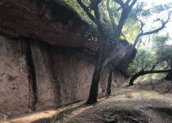 IMG_4460.jpg IMG_4460.jpg