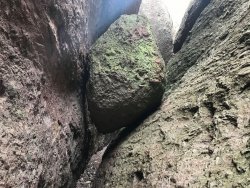 IMG_4465.jpg IMG_4465.jpg