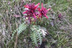 IMG_4612.jpg IMG_4612.jpg