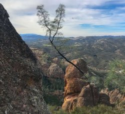 IMG_4614.jpg IMG_4614.jpg