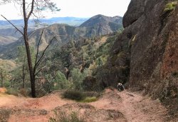 IMG_4616.jpg IMG_4616.jpg