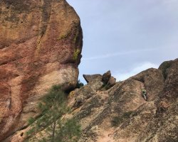 IMG_4630.jpg IMG_4630.jpg