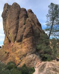 IMG_4637.jpg IMG_4637.jpg