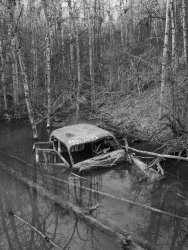 _1090683_edited-1 copy.jpg