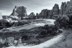 Chesler Park 1-20200524-bw.jpg