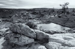 Death Hollow Leap Year 2-20200277-bw.jpg