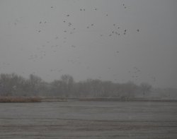 P3130478.jpg P3130478.jpg