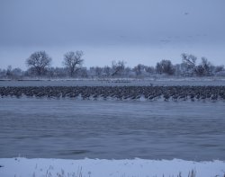 P3140509.jpg P3140509.jpg