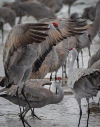 P3141066.jpg P3141066.jpg