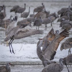 P3141183.jpg P3141183.jpg