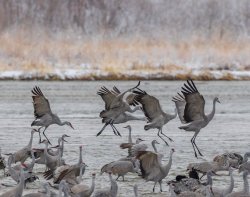 P3141246.jpg P3141246.jpg