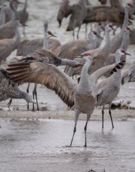 P3141327.jpg P3141327.jpg