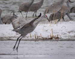 P3141484.jpg P3141484.jpg