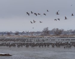 P3146604.jpg P3146604.jpg