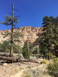 IMG_1876.jpeg IMG_1876.jpeg