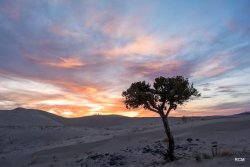 _DSC1975.jpg _DSC1975.jpg