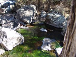 03-05-09 Four Corners 068.jpg