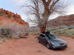 IMG_1577.JPG IMG_1577.JPG